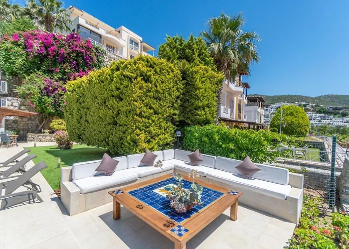 Premium - Amazing Seaviews