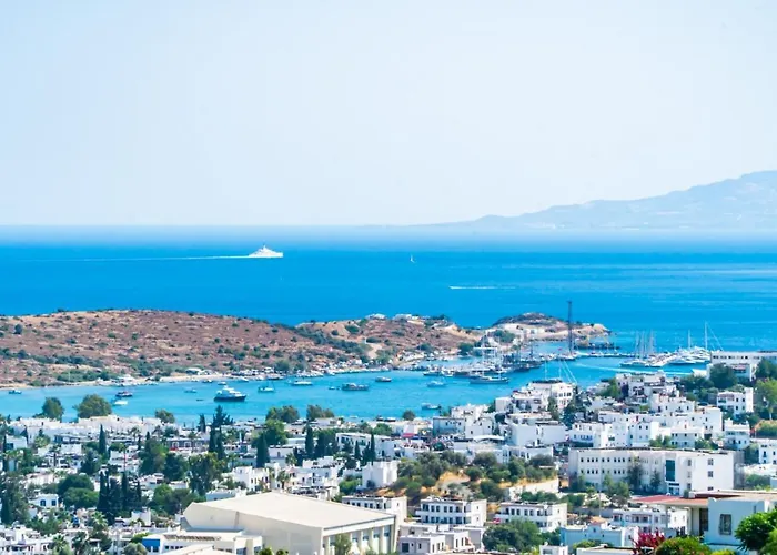 Premium - Amazing Seaviews